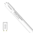 Noxion LED Lysrør T8 Avant (EM/Mains) Standard Output 15W 1800lm - 865 Dagslys | 120cm - Erstatter 36W