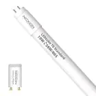 Noxion LED Lysrør T8 Avant (EM/Mains) Standard Output 19W 2300lm - 865 Dagslys | 150cm - Erstatter 58W